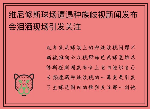 维尼修斯球场遭遇种族歧视新闻发布会泪洒现场引发关注