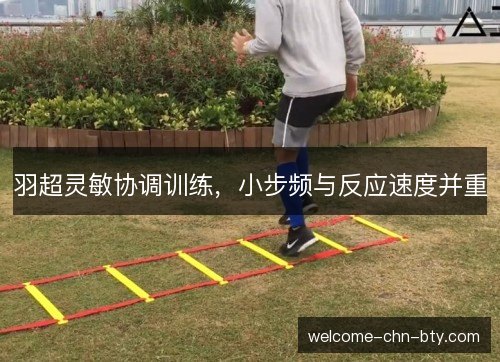 羽超灵敏协调训练，小步频与反应速度并重